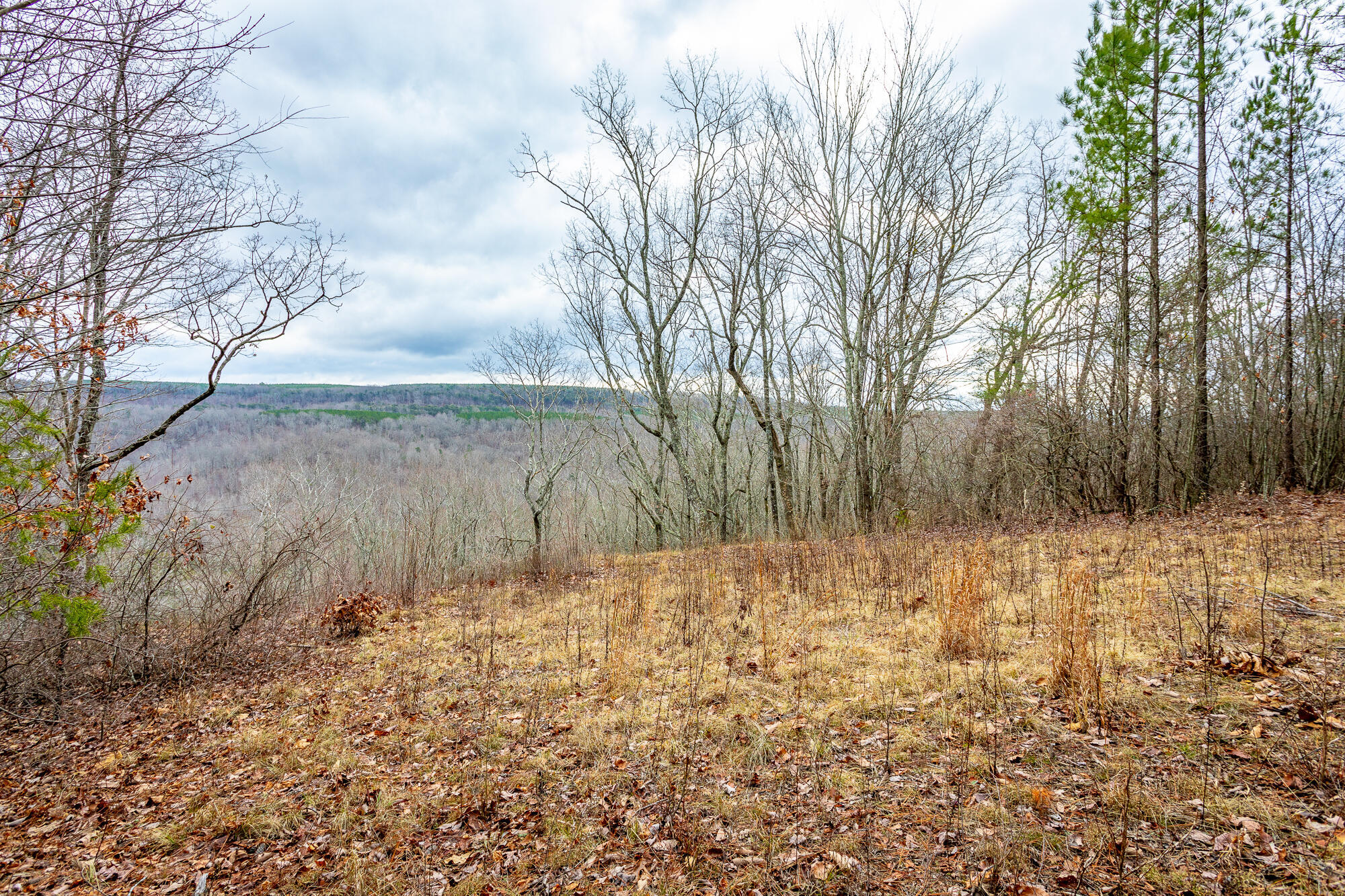 0 Split Rail Way, Unit LOT 1354 Guild, TN 37340 - Photo 8 of 68 River Gorge Ranch Lot 1354 HD-24