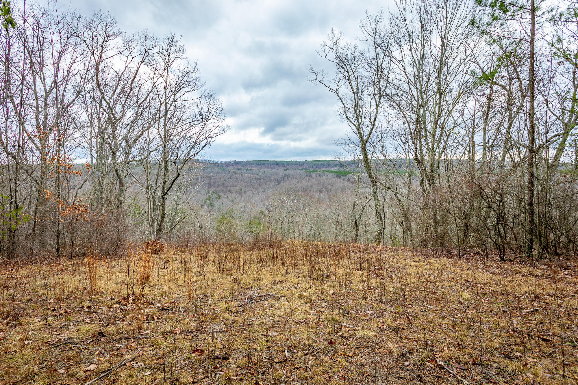 0 Split Rail Way, Unit LOT 1354 Guild, TN 37340 - Photo 9 of 68 River Gorge Ranch Lot 1354 HD-23