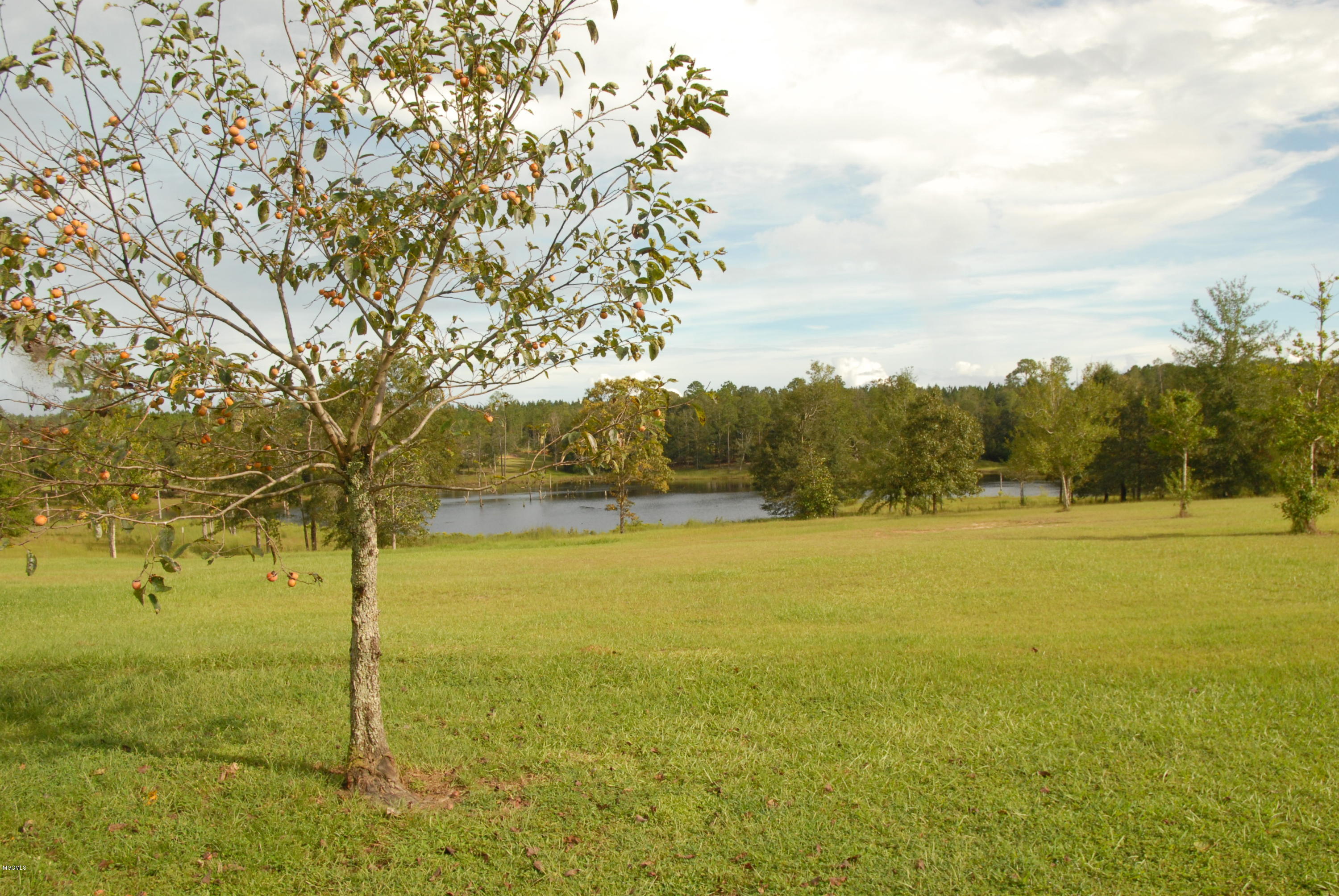16650 Campground Road Vancleave, MS 39565 - Photo 15 of 76 DSC_0529
