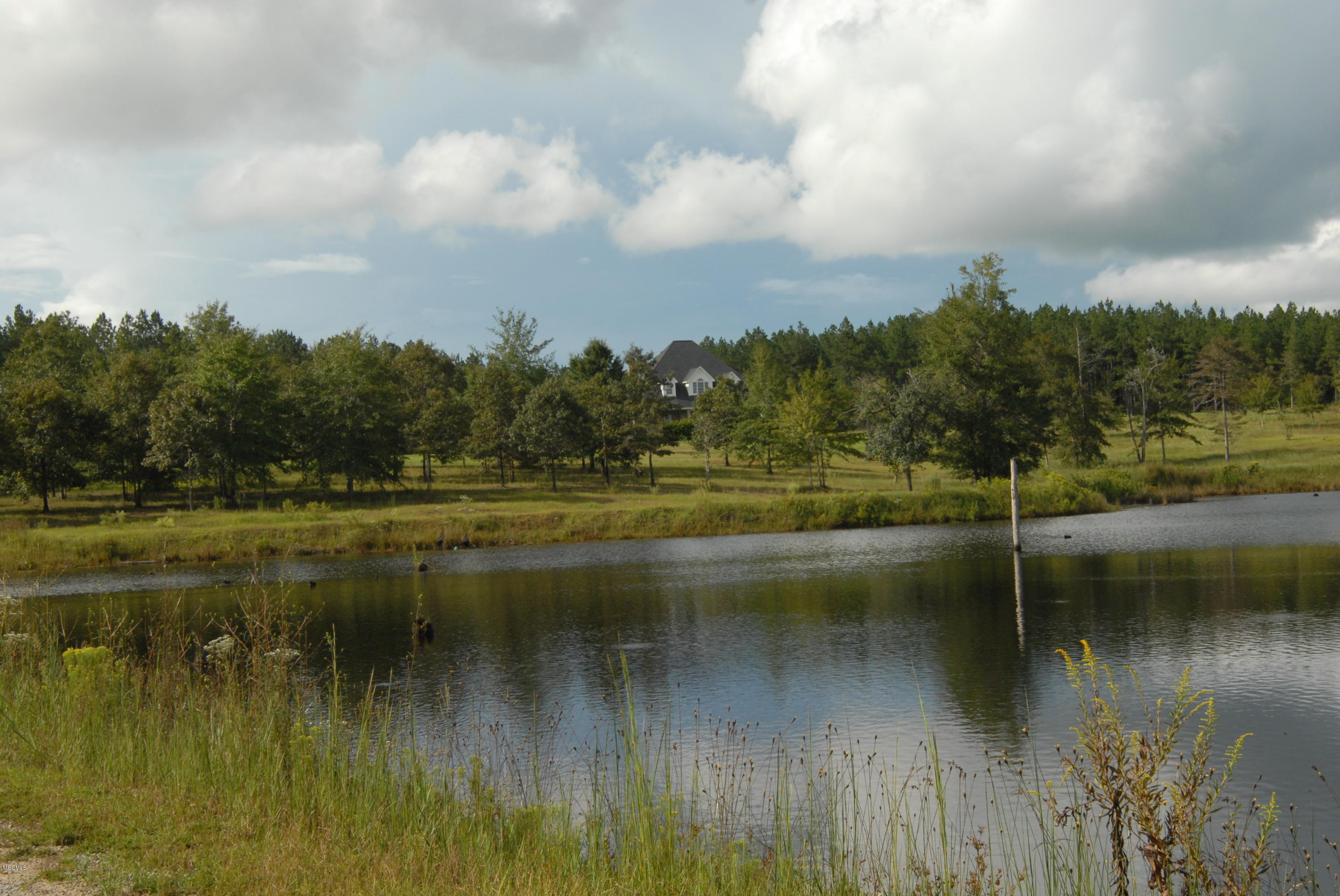16650 Campground Road Vancleave, MS 39565 - Photo 7 of 76 DSC_0518