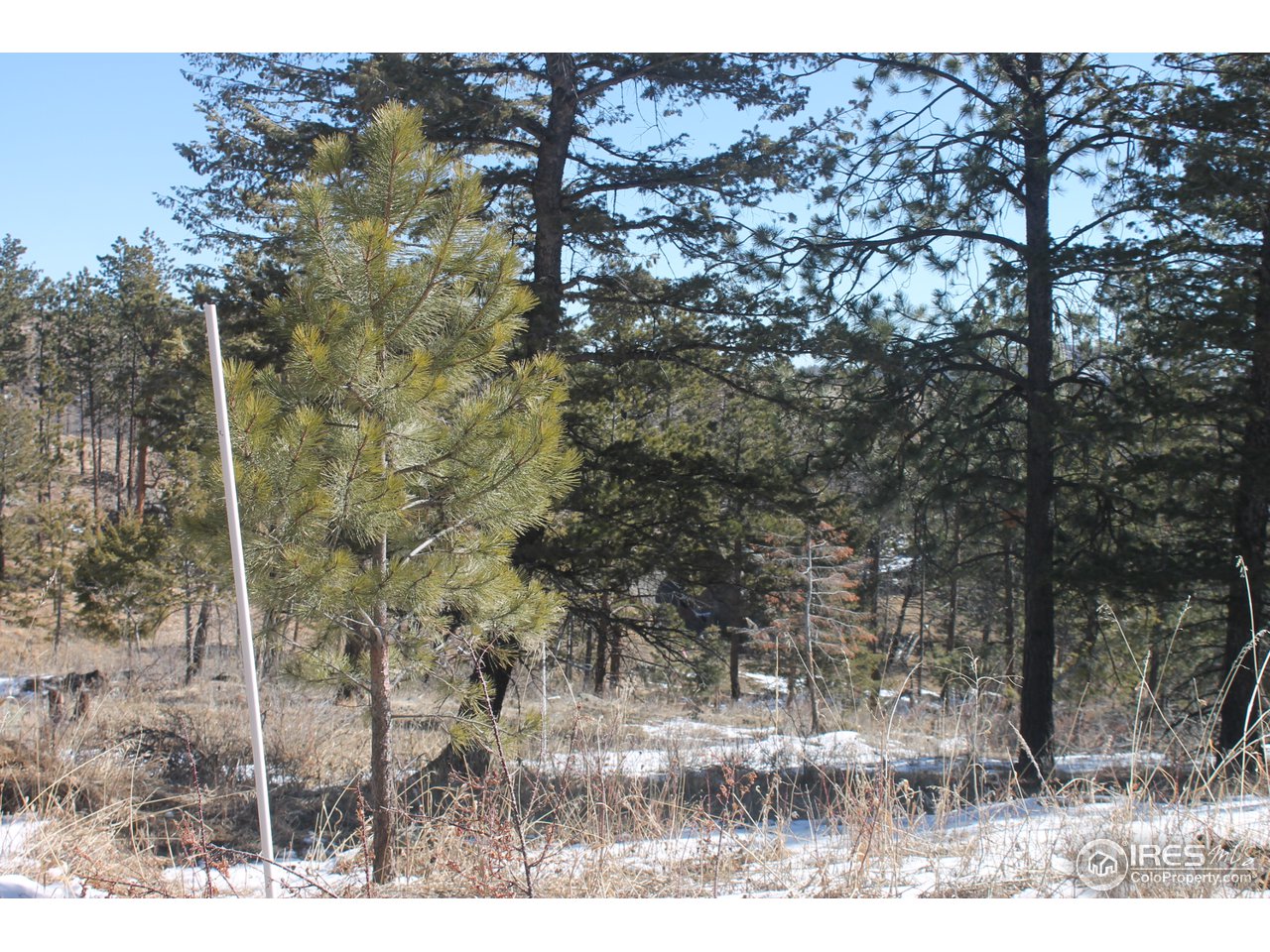 0 Tbd Dirt Road Bellvue, CO 80512 - Photo 1 of 19 Post PVC is west side of property
