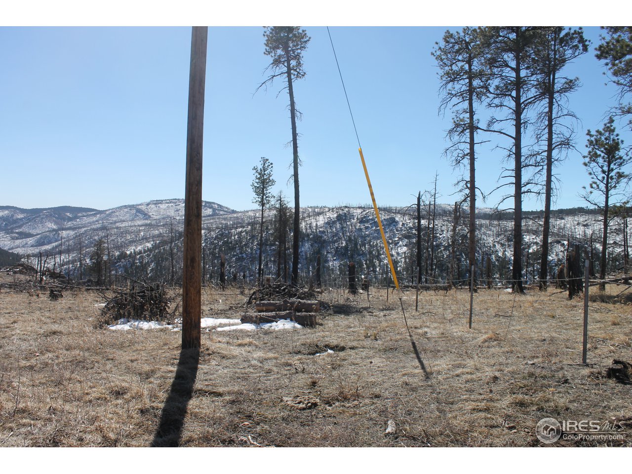 0 Tbd Dirt Road Bellvue, CO 80512 - Photo 15 of 19 East side of property