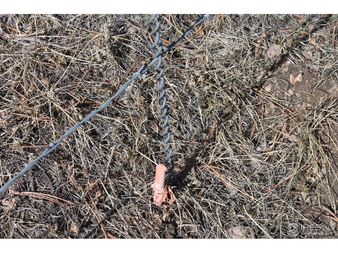 0 Tbd Dirt Road Bellvue, CO 80512 - Photo 16 of 19 Pin below fence line