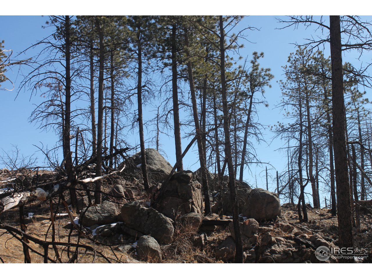 0 Tbd Dirt Road Bellvue, CO 80512 - Photo 2 of 19 Lots of rock outcroppings