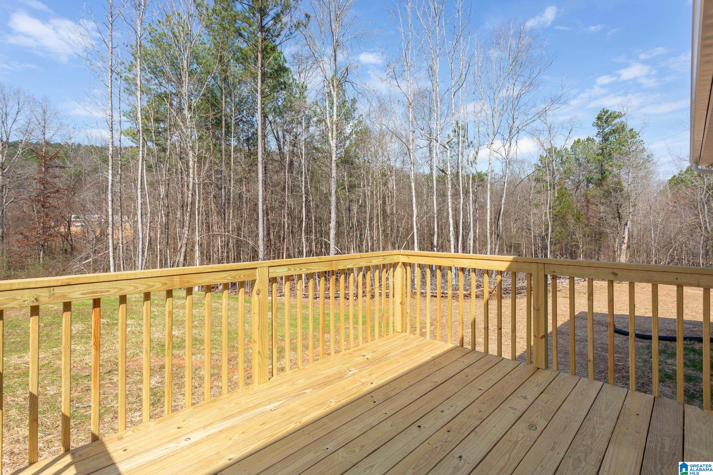 8215 Boiling Springs Road Ohatchee, AL 36271 - Photo 34 of 36