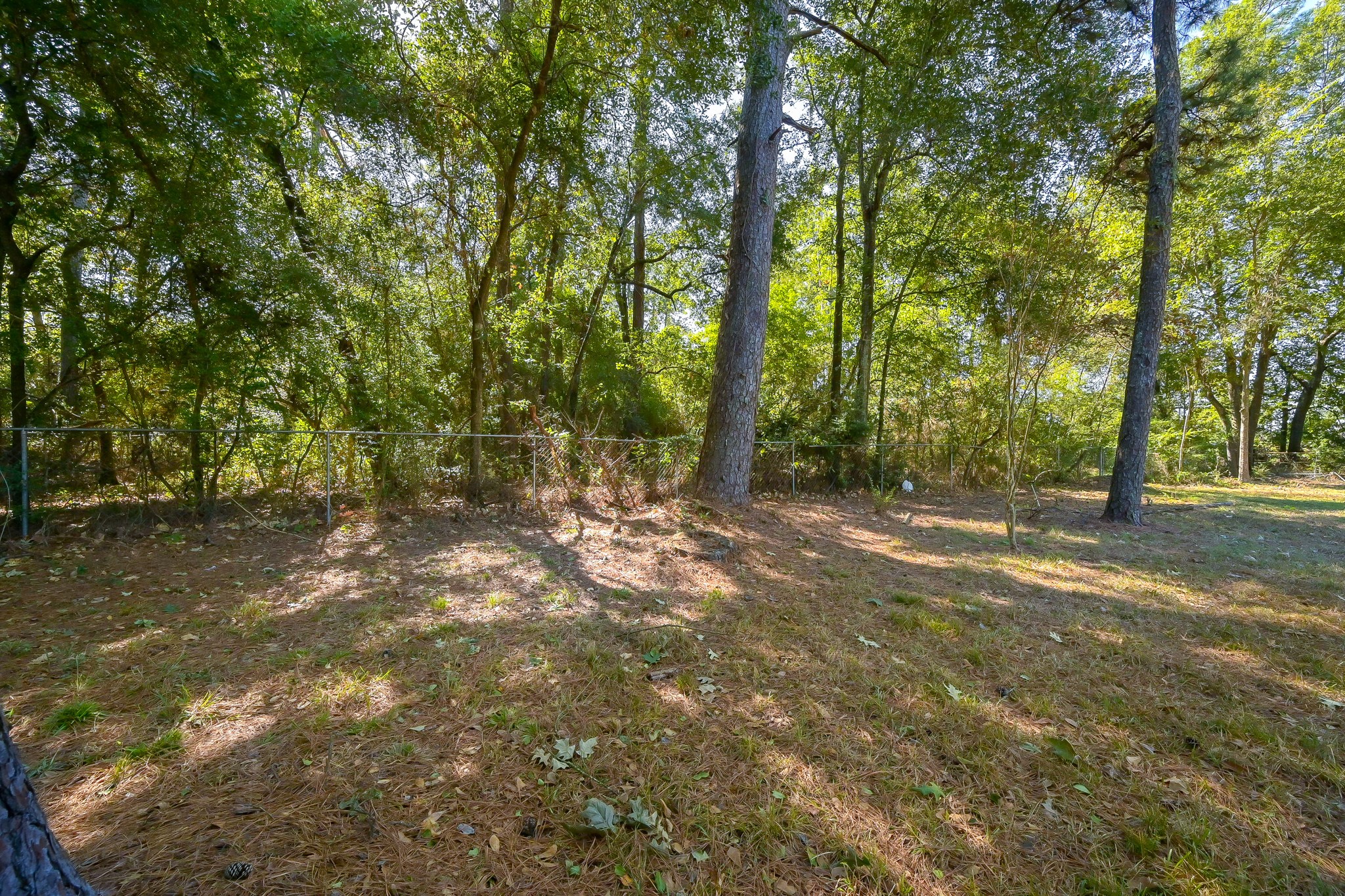 2104 Spring Creek Drive Spring, TX 77373 - Photo 5 of 9 a view of outdoor space with trees