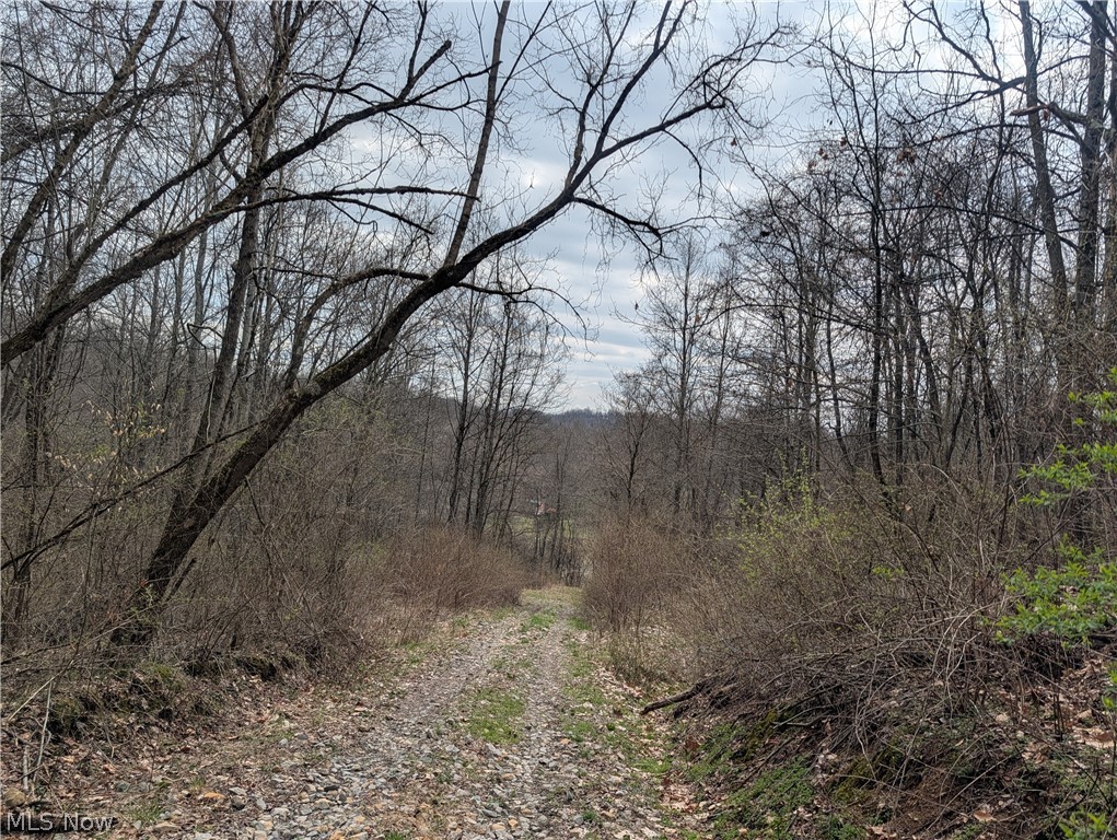 39000 Lees Run Road Cadiz, OH 43907 - Photo 29 of 49