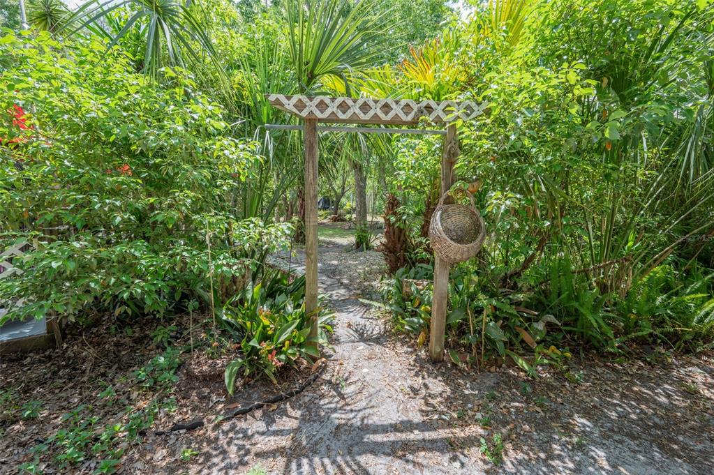 133 Seminole Trail Georgetown, FL 32139 - Photo 34 of 87