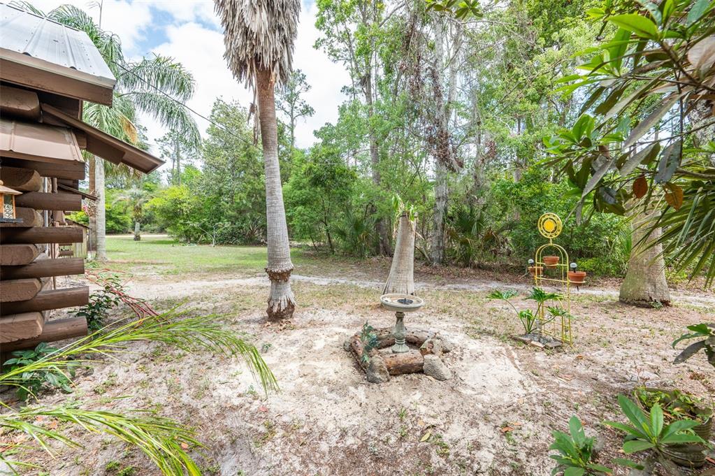 133 Seminole Trail Georgetown, FL 32139 - Photo 68 of 87 a backyard of a house with trampoline