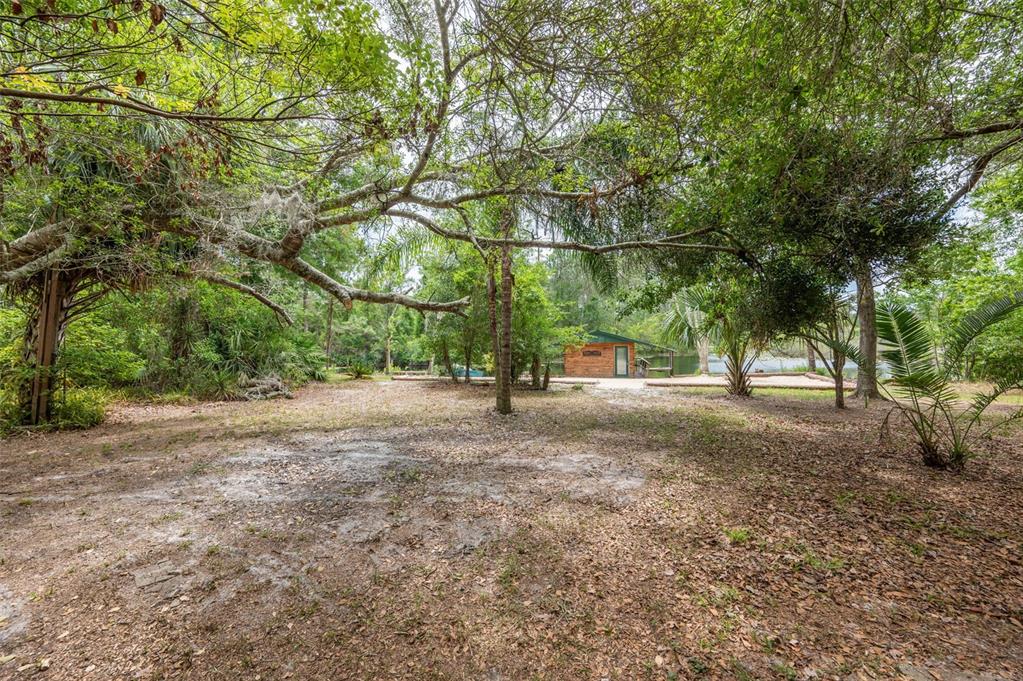 133 Seminole Trail Georgetown, FL 32139 - Photo 69 of 87