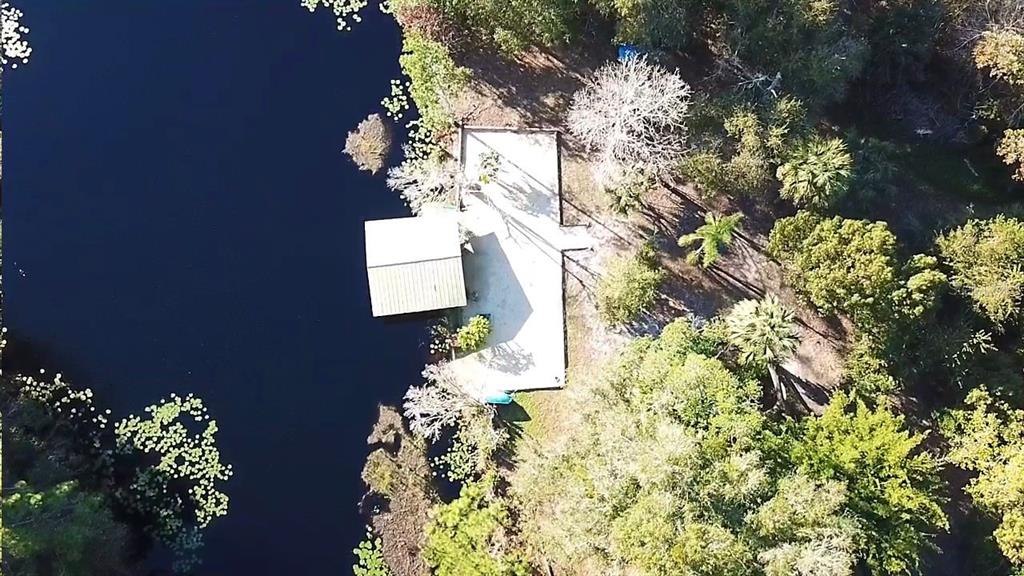 133 Seminole Trail Georgetown, FL 32139 - Photo 77 of 87 a vase of flowers sitting on a table