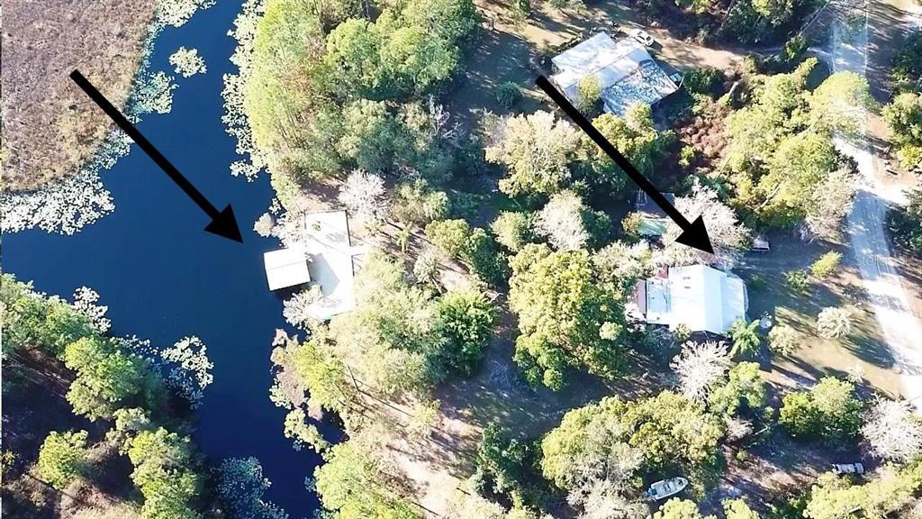 133 Seminole Trail Georgetown, FL 32139 - Photo 81 of 87 a front view of a house with a yard and flowers