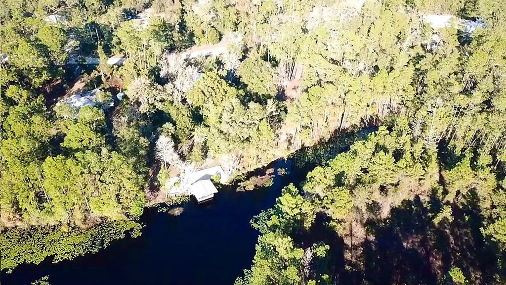 133 Seminole Trail Georgetown, FL 32139 - Photo 85 of 87