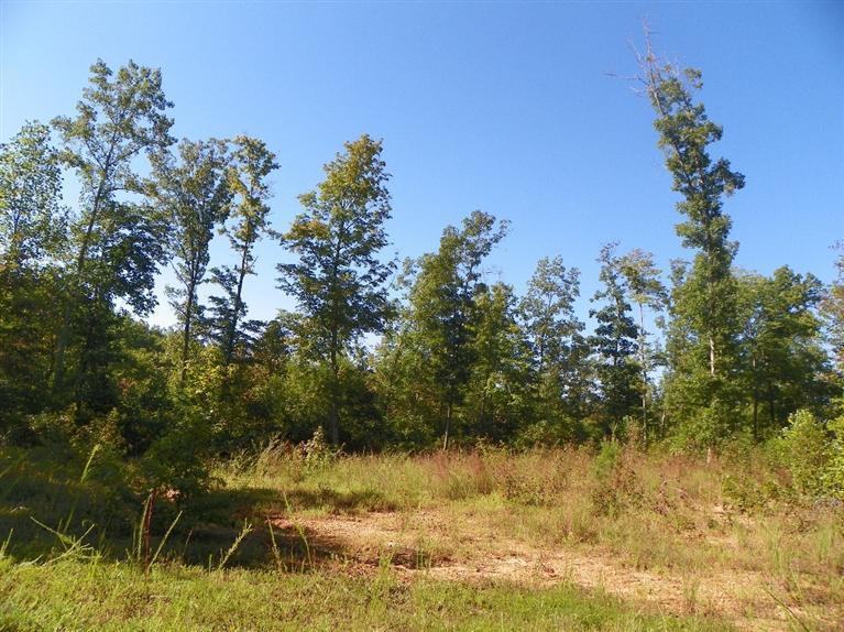 12 Cave Springs Road Nancy, KY 42544 - Photo 27 of 29 Additional Photo