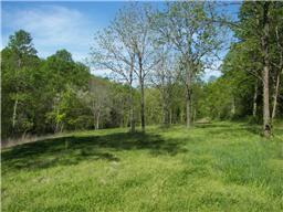 730 Rogues Fork Road Bethpage, TN 37022 - Photo 13 of 16