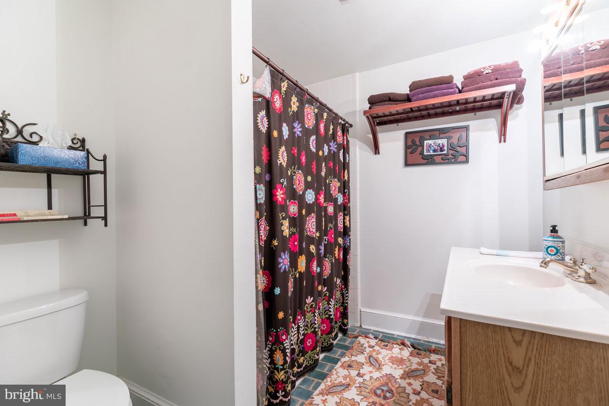39846 Thomas Mill Road Leesburg, VA 20175 - Photo 27 of 42 Full bathroom with bath and shower.