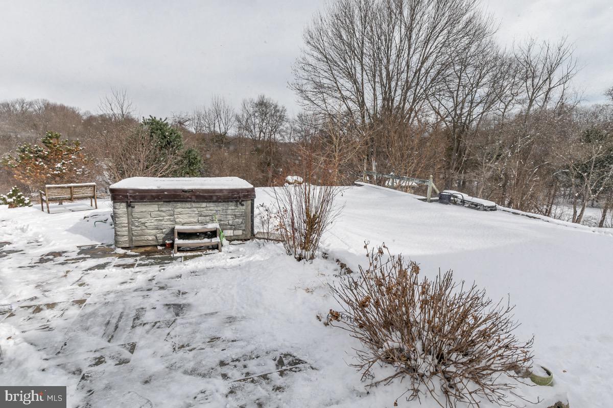 39846 Thomas Mill Road Leesburg, VA 20175 - Photo 33 of 42 Hot tub with the pond in back.