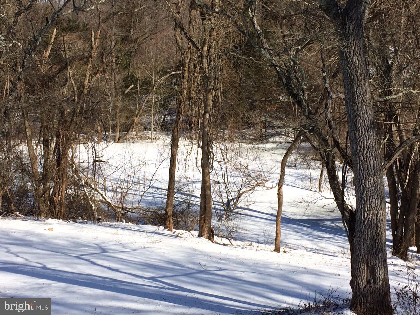 39846 Thomas Mill Road Leesburg, VA 20175 - Photo 37 of 42 The snow covered pond.