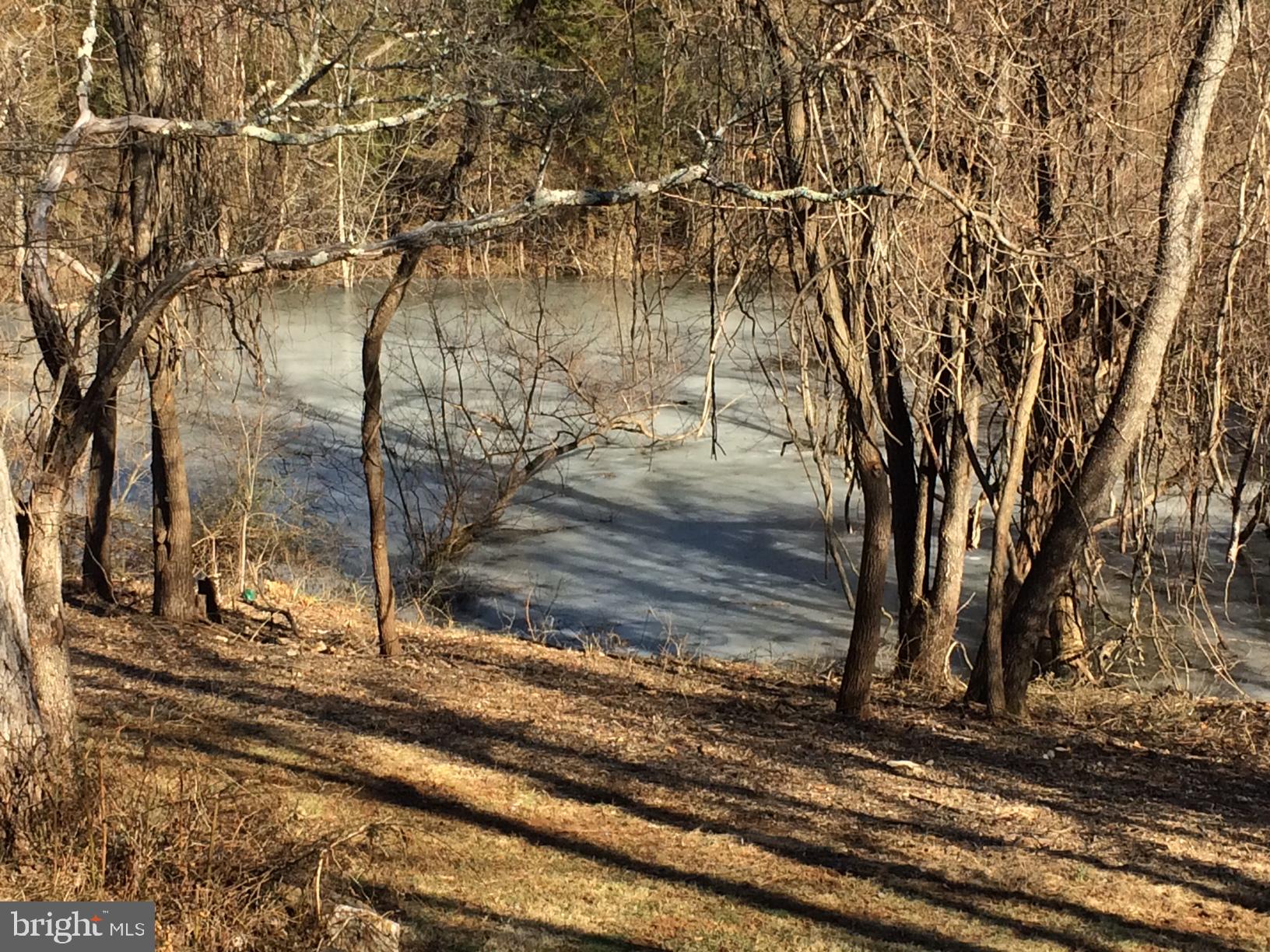 39846 Thomas Mill Road Leesburg, VA 20175 - Photo 38 of 42 A view of the pond.