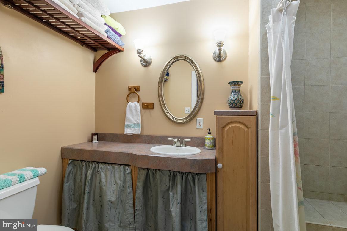 39846 Thomas Mill Road Leesburg, VA 20175 - Photo 6 of 42 Ensuite bathroom with shower.