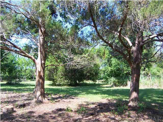 10163 South Loop Road, Unit 1 Pensacola, FL 32507 - Photo 8 of 13 Many mature trees including crepe myrtle, cedar, persimmon, other fruit trees, pecan, and bamboo