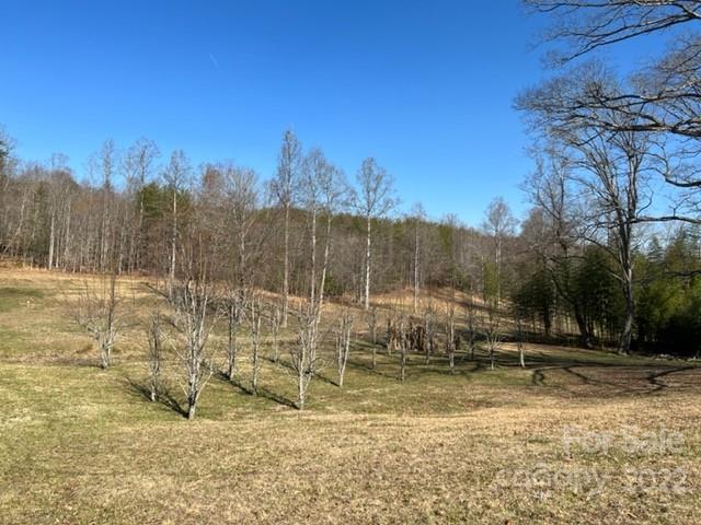 819 Virginia Road Marion, NC 28752 - Photo 20 of 25 Gallery Image 20