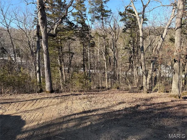 $31,900 | 336 Lake Shore Drive West, New Florence, MO 63363