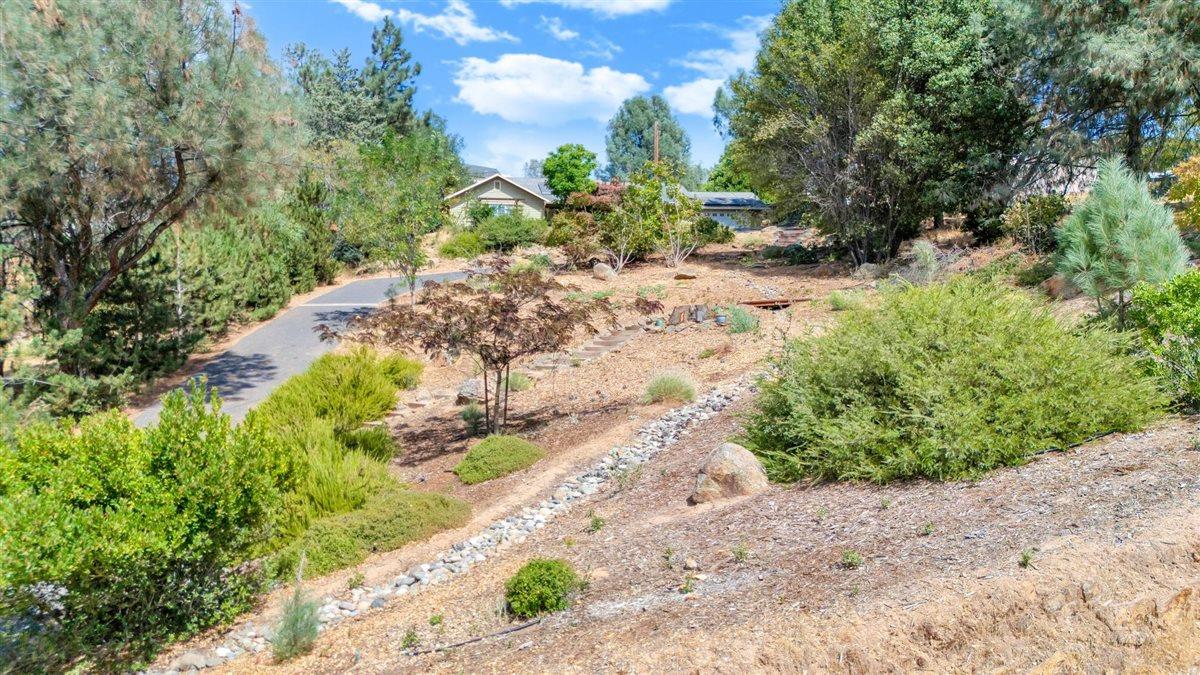 2441 Quail Hill Road Copperopolis, CA 95228 - Photo 67 of 91 Hidden oasis.