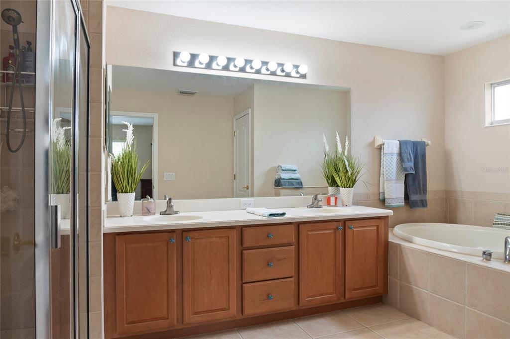 8746 Stone Harbour Loop Bradenton, FL 34212 - Photo 33 of 71 a bathroom with a double vanity sink mirror and bathtub