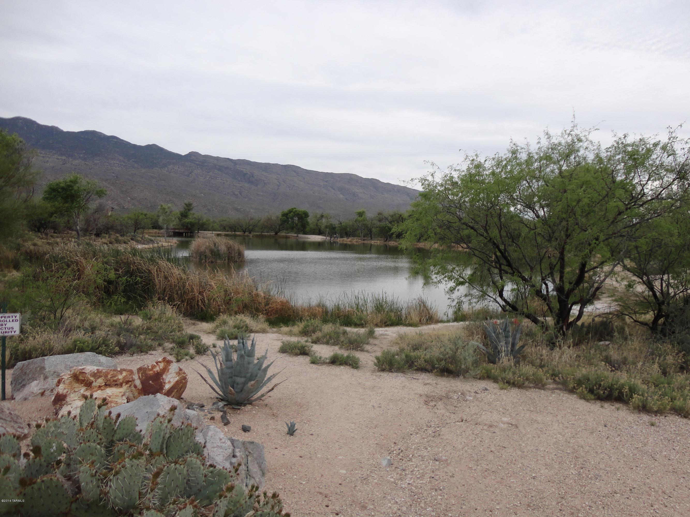 13790 East Redington Road Tucson, AZ 85749 - Photo 41 of 42