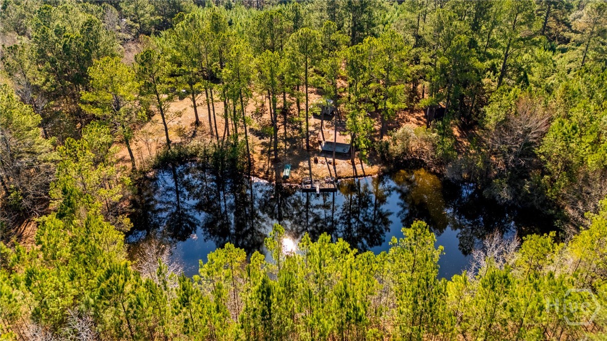 0 Stillwell Clyo Road Springfield, GA 31329 - Photo 12 of 20 Gallery Image 12