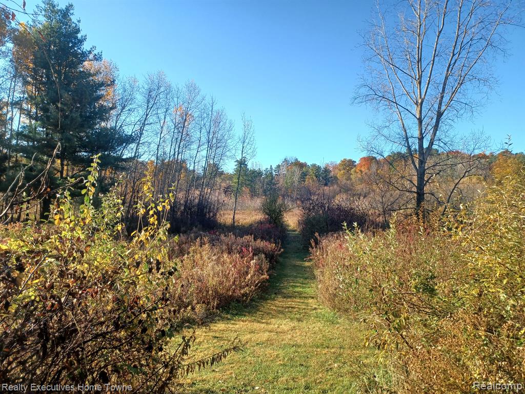 3109 Vincent Road North Street, MI 48049 - Photo 39 of 44 Gallery Image 39
