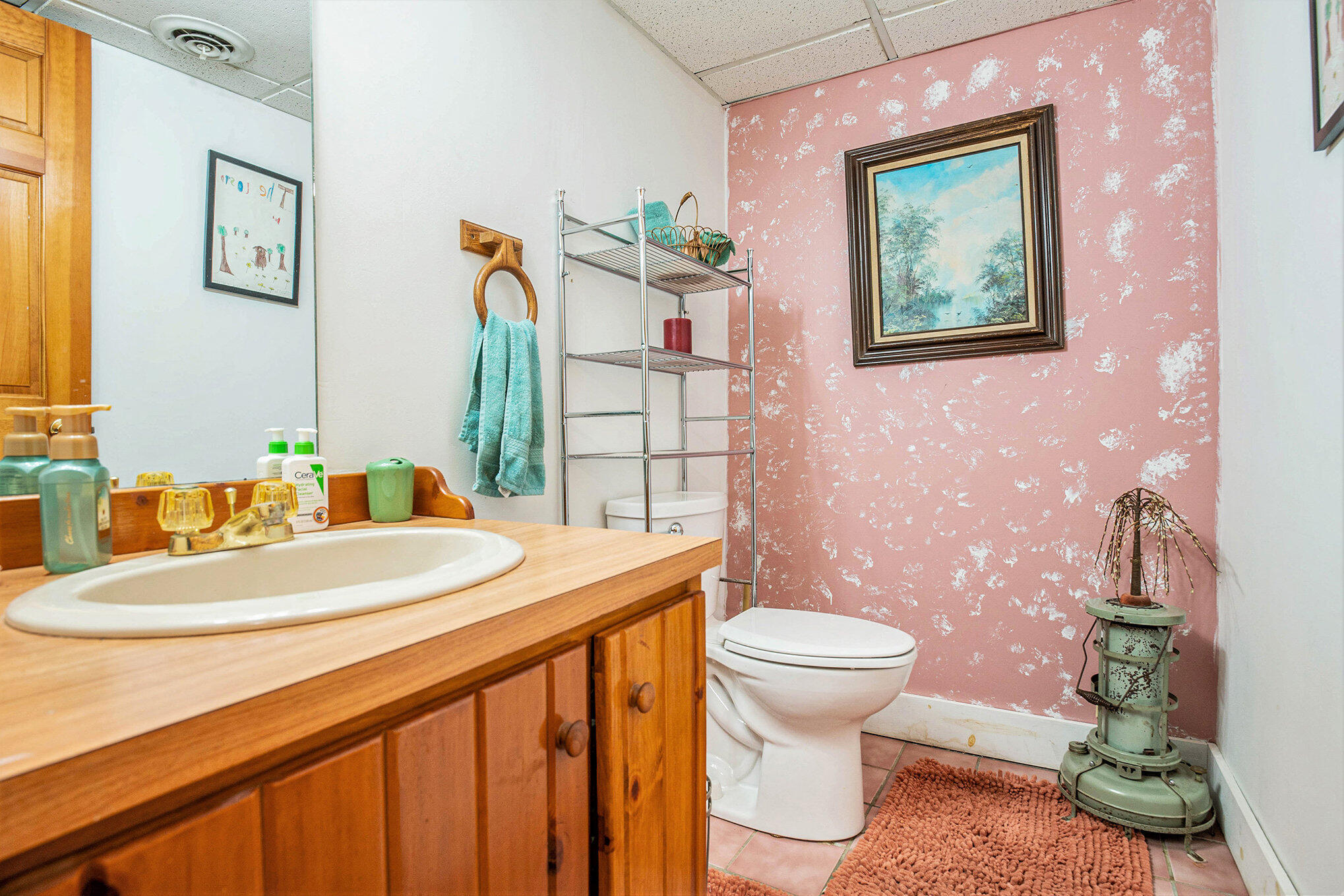 29726 East Fawn River Road Sturgis, MI 49091 - Photo 22 of 35 023_dsc00713_140