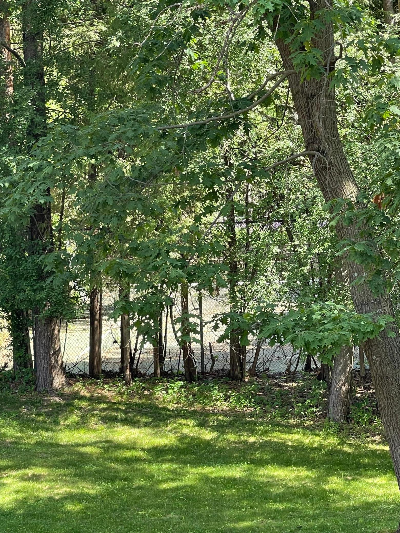 1406 Weatherhill Road Southwest Rochester, MN 55902 - Photo 68 of 79