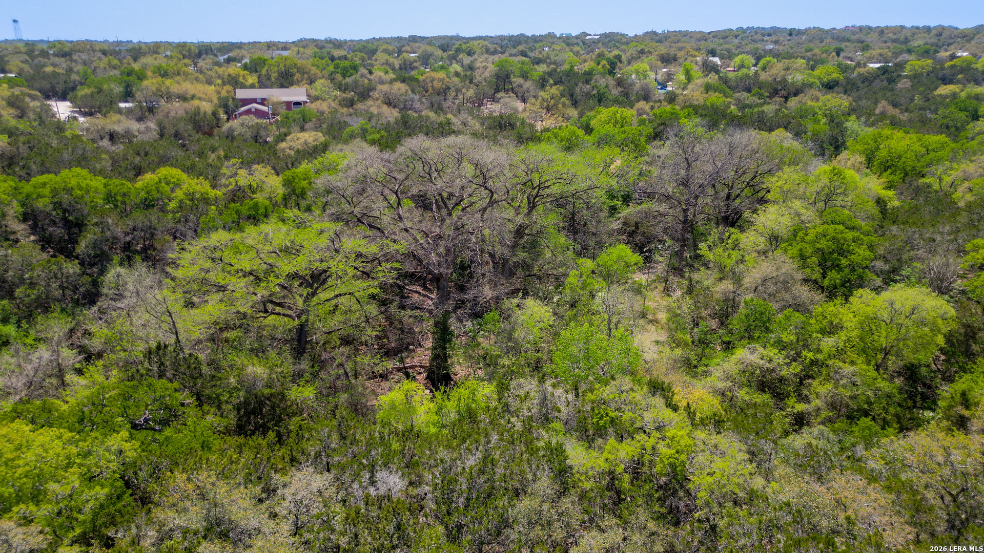 Lot 5 Forest Lake Spring Branch, TX 78070 - Photo 19 of 25
