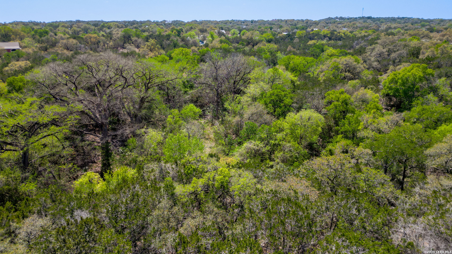 Lot 5 Forest Lake Spring Branch, TX 78070 - Photo 20 of 25