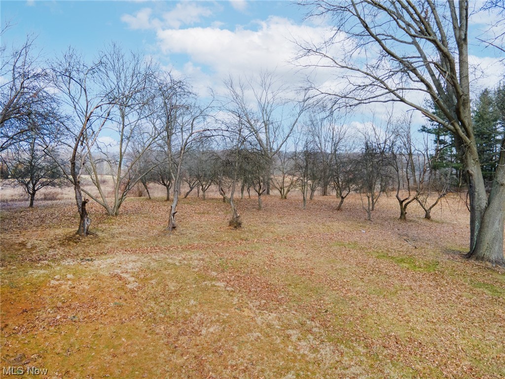 1784 Depot Road Salem, OH 44460 - Photo 29 of 32 View of yard with a rural view