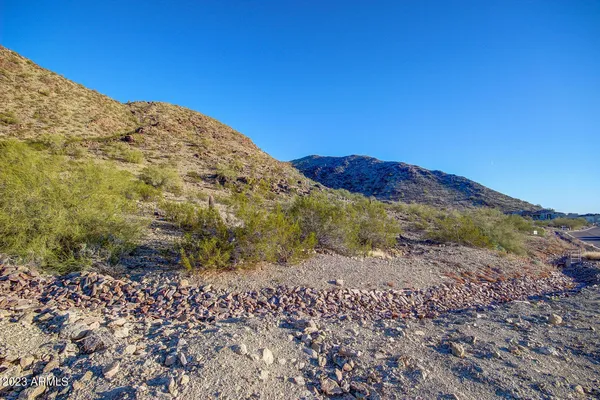 a view of a dry yard with mountains in the background