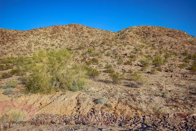a view of a dry yard with mountains in the background