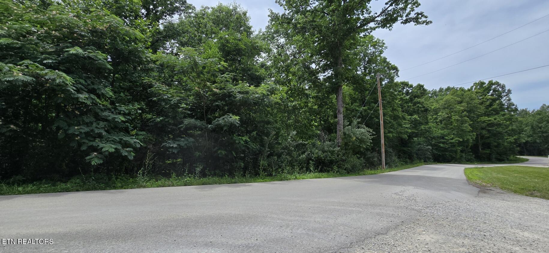 Lot 48-49 Bear Creek Road Oneida, TN 37841 - Photo 15 of 16 20260612_142810