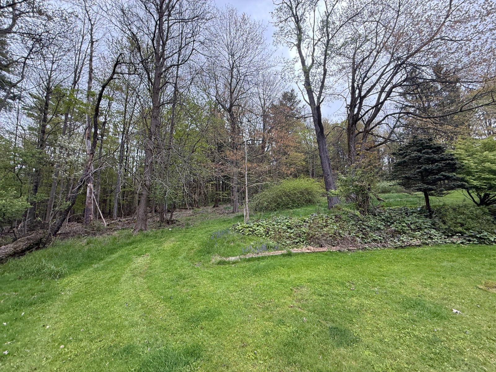 884 Bunn Hill Road Vestal, NY 13850 - Photo 8 of 25