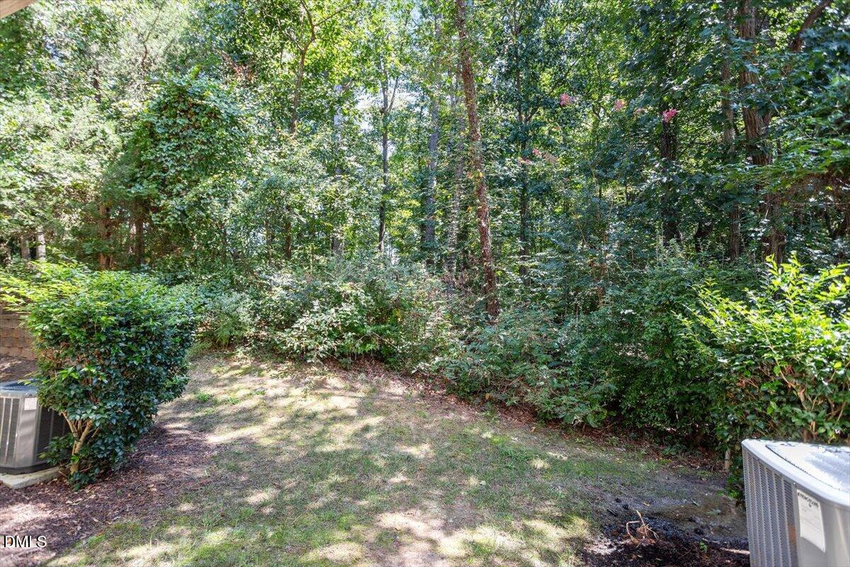 6224 Braidwood Court Raleigh, NC 27612 - Photo 23 of 39 a view of a forest with trees in the background