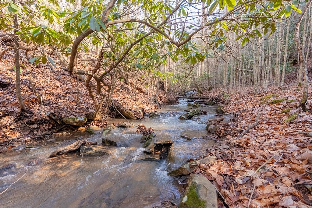 485 Grouse Ridge Road Max Meadows, VA 24360 - Photo 50 of 76 Gallery Image 50