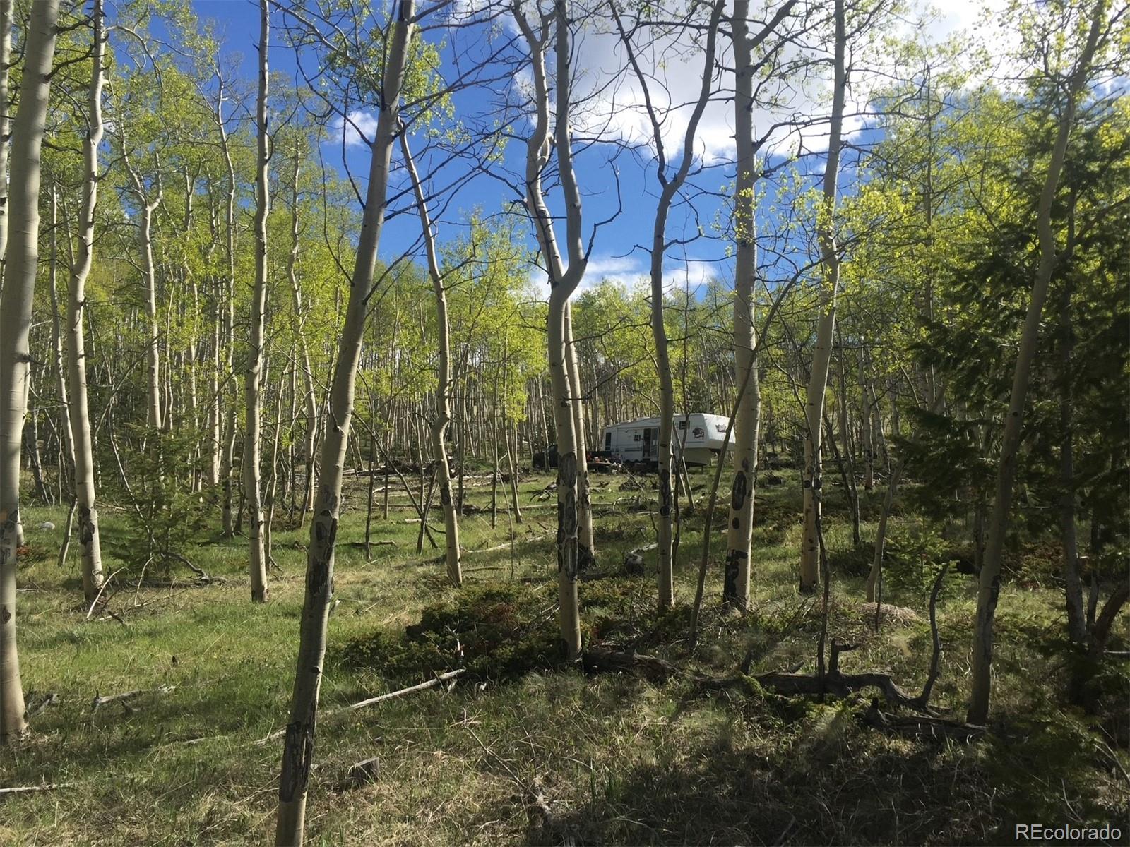 8093 Ranch Road Hartsel, CO 80449 - Photo 3 of 23 a backyard of a house with lots of green space
