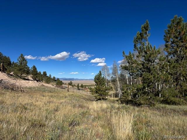 8093 Ranch Road Hartsel, CO 80449 - Photo 4 of 23 a view of a yard
