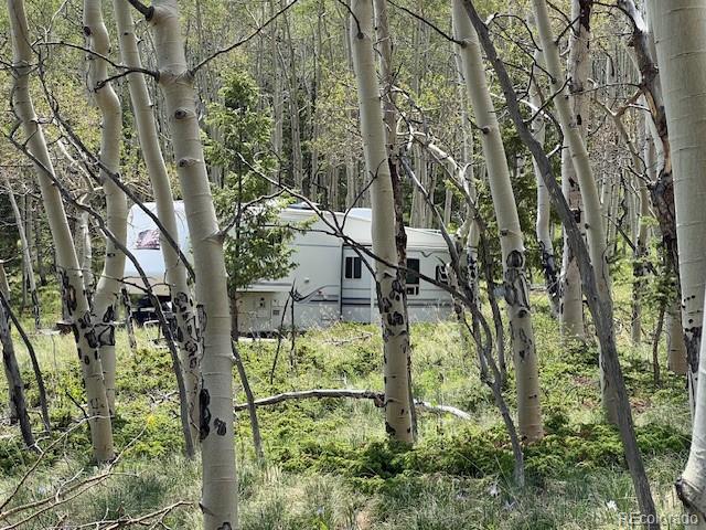 8093 Ranch Road Hartsel, CO 80449 - Photo 6 of 23 a yard with lots of trees