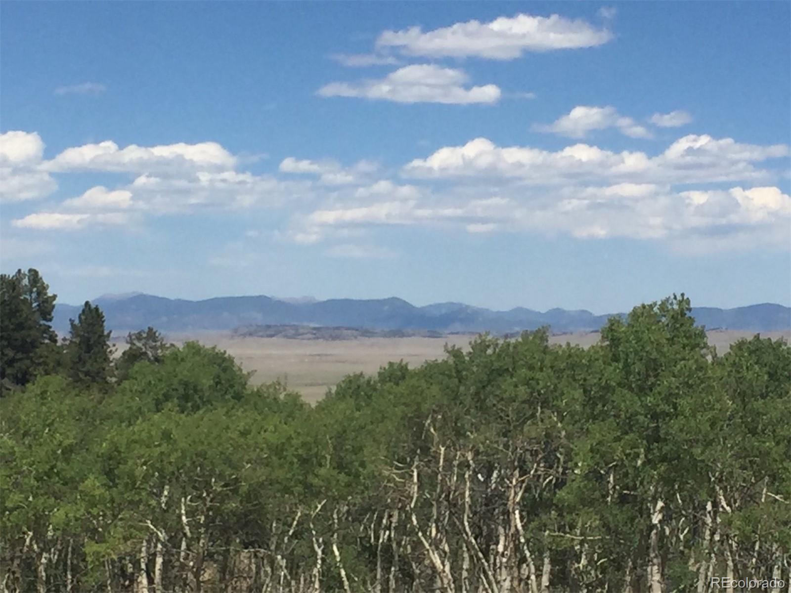 8093 Ranch Road Hartsel, CO 80449 - Photo 9 of 23 a view of a town with mountains in the background