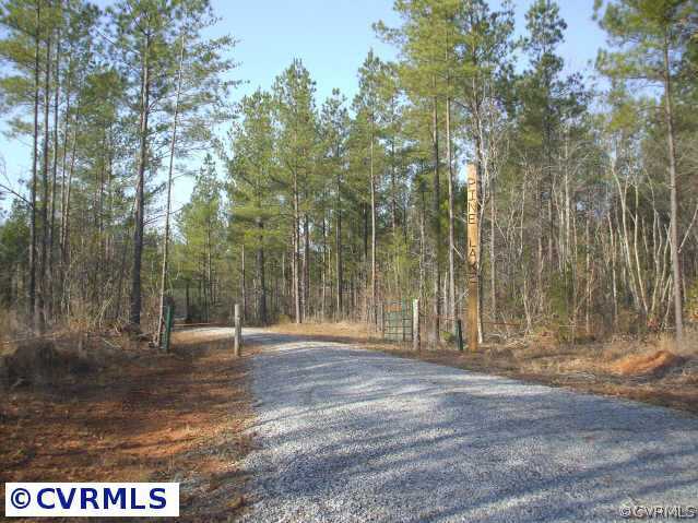 664 Dusty Road Crewe, VA 23930 - Photo 4 of 8 a view of outdoor space with trees