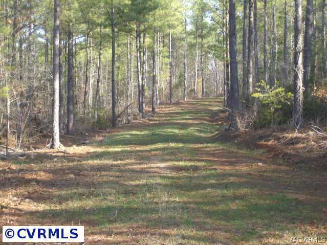 664 Dusty Road Crewe, VA 23930 - Photo 8 of 8