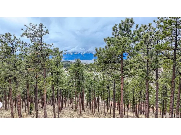 $85,000 | 43 Ben Eaton Lane, Westcliffe, CO 81252